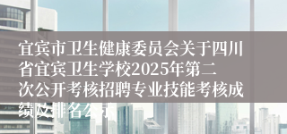 宜宾市卫生健康委员会关于四川省宜宾卫生学校2025年第二次公开考核招聘专业技能考核成绩及排名公示