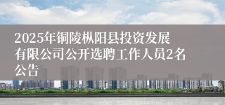 2025年铜陵枞阳县投资发展有限公司公开选聘工作人员2名公告