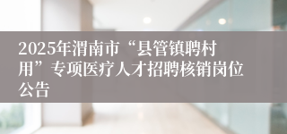 2025年渭南市“县管镇聘村用”专项医疗人才招聘核销岗位公告