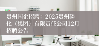贵州国企招聘：2025贵州磷化（集团）有限责任公司12月招聘公告