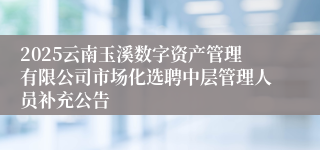 2025云南玉溪数字资产管理有限公司市场化选聘中层管理人员补充公告