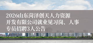 2026山东菏泽创天人力资源开发有限公司就业见习岗、人事专员招聘3人公告