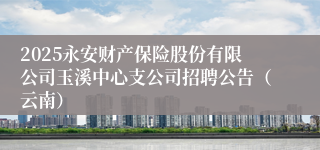 2025永安财产保险股份有限公司玉溪中心支公司招聘公告（云南）