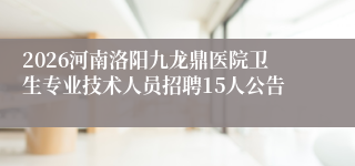 2026河南洛阳九龙鼎医院卫生专业技术人员招聘15人公告
