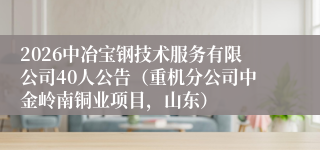 2026中冶宝钢技术服务有限公司40人公告（重机分公司中金岭南铜业项目，山东）