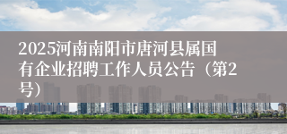 2025河南南阳市唐河县属国有企业招聘工作人员公告（第2号）