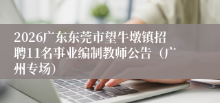 2026广东东莞市望牛墩镇招聘11名事业编制教师公告（广州专场）