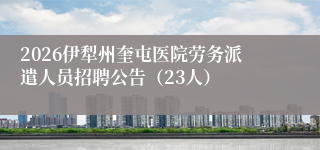 2026伊犁州奎屯医院劳务派遣人员招聘公告(23人)