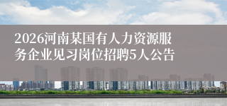 2026河南某国有人力资源服务企业见习岗位招聘5人公告