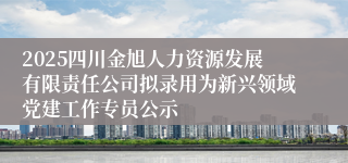 2025四川金旭人力资源发展有限责任公司拟录用为新兴领域党建工作专员公示