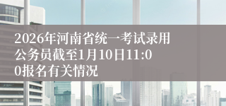 2026年河南省统一考试录用公务员截至1月10日11:00报名有关情况