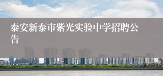 泰安新泰市紫光实验中学招聘公告
