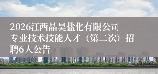 2026江西晶昊盐化有限公司专业技术技能人才（第二次）招聘6人公告
