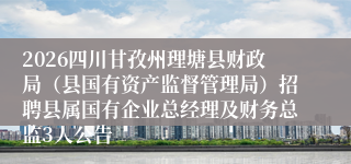 2026四川甘孜州理塘县财政局（县国有资产监督管理局）招聘县属国有企业总经理及财务总监3人公告