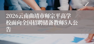 2026云南曲靖市师宗平高学校面向全国招聘储备教师5人公告