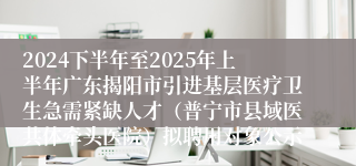 2024下半年至2025年上半年广东揭阳市引进基层医疗卫生急需紧缺人才（普宁市县域医共体牵头医院）拟聘用对象公示