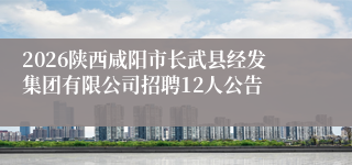 2026陕西咸阳市长武县经发集团有限公司招聘12人公告