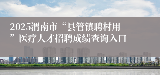 2025渭南市“县管镇聘村用”医疗人才招聘成绩查询入口