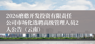 2026磨憨开发投资有限责任公司市场化选聘高级管理人员2人公告（云南）