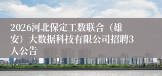 2026河北保定工数联合（雄安）大数据科技有限公司招聘3人公告