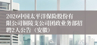 2026中国太平洋保险股份有限公司铜陵支公司团政业务部招聘2人公告（安徽）