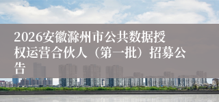 2026安徽滁州市公共数据授权运营合伙人（第一批）招募公告