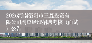 2026河南洛阳市三鑫投资有限公司副总经理招聘考核（面试）公告