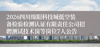 2026四川绵阳科技城低空装备检验检测认证有限责任公司招聘测试技术岗等岗位7人公告