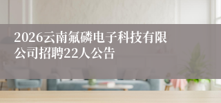 2026云南氟磷电子科技有限公司招聘22人公告