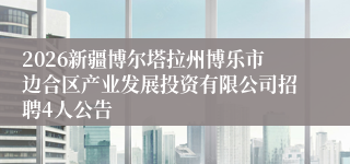2026新疆博尔塔拉州博乐市边合区产业发展投资有限公司招聘4人公告