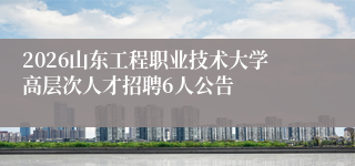 2026山东工程职业技术大学高层次人才招聘6人公告