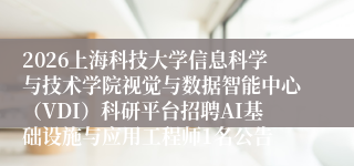 2026上海科技大学信息科学与技术学院视觉与数据智能中心（VDI）科研平台招聘AI基础设施与应用工程师1名公告