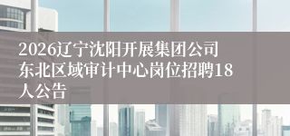 2026辽宁沈阳开展集团公司东北区域审计中心岗位招聘18人公告