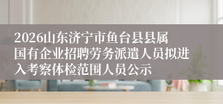 2026山东济宁市鱼台县县属国有企业招聘劳务派遣人员拟进入考察体检范围人员公示