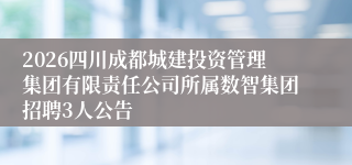 2026四川成都城建投资管理集团有限责任公司所属数智集团招聘3人公告