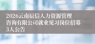 2026云南辰信人力资源管理咨询有限公司就业见习岗位招募3人公告