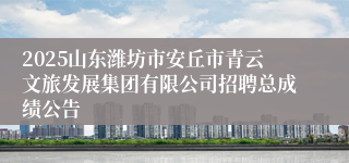 2025山东潍坊市安丘市青云文旅发展集团有限公司招聘总成绩公告