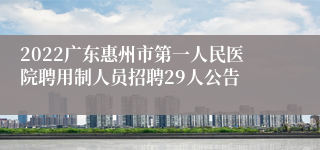 2022广东惠州市第一人民医院聘用制人员招聘29人公告