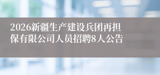2026新疆生产建设兵团再担保有限公司人员招聘8人公告
