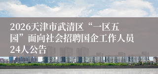2026天津市武清区“一区五园”面向社会招聘国企工作人员24人公告