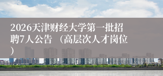 2026天津财经大学第一批招聘7人公告 （高层次人才岗位）