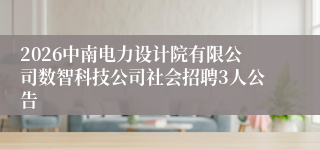 2026中南电力设计院有限公司数智科技公司社会招聘3人公告