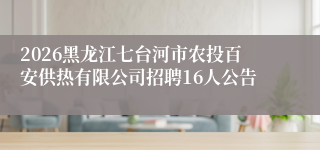 2026黑龙江七台河市农投百安供热有限公司招聘16人公告