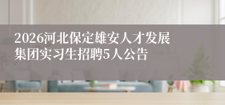 2026河北保定雄安人才发展集团实习生招聘5人公告