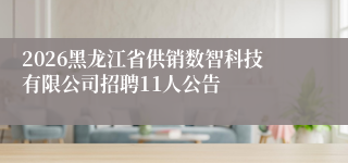 2026黑龙江省供销数智科技有限公司招聘11人公告