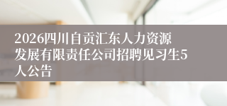 2026四川自贡汇东人力资源发展有限责任公司招聘见习生5人公告