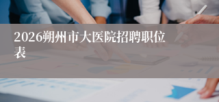 2026朔州市大医院招聘职位表