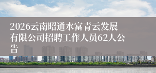 2026云南昭通水富青云发展有限公司招聘工作人员62人公告