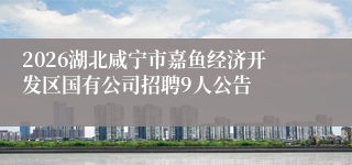 2026湖北咸宁市嘉鱼经济开发区国有公司招聘9人公告