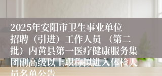 2025年安阳市卫生事业单位招聘（引进）工作人员 （第二批）内黄县第一医疗健康服务集团副高级以上职称拟进入体检人员名单公告